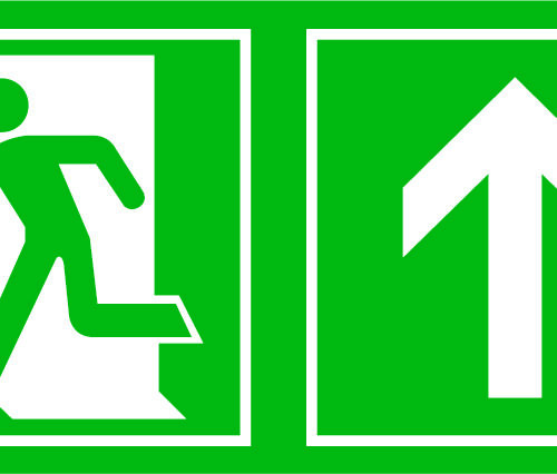 Salidad de Emergencia 1