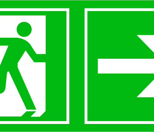 Salidad de Emergencia 3