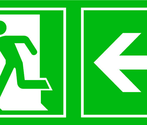 Salidad de Emergencia 4